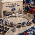 WTB Silver Charm Bracelet Set PNPA