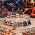 IFI Silver Charm Bracelet Set PTKL