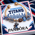 TNST Silver Charm Bracelet Set NTVA